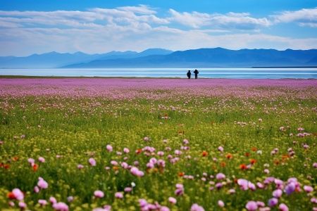 新疆赛里木湖景点旅游攻略介绍