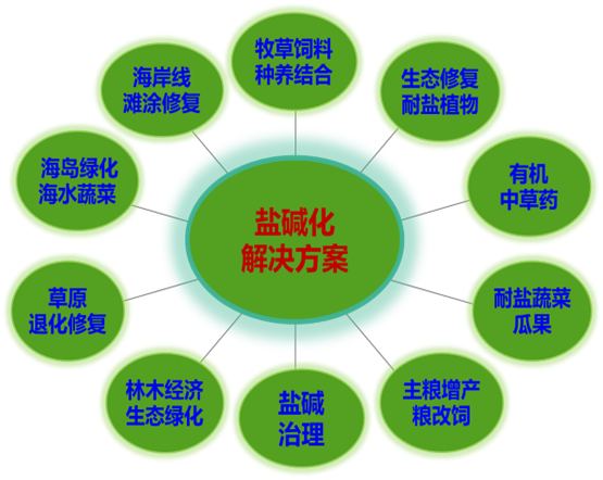 盐碱地治理包括什么（盐碱地有哪些具体的应用场景）