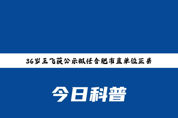 36岁王飞获公示拟任合肥市直单位正县级领导职务