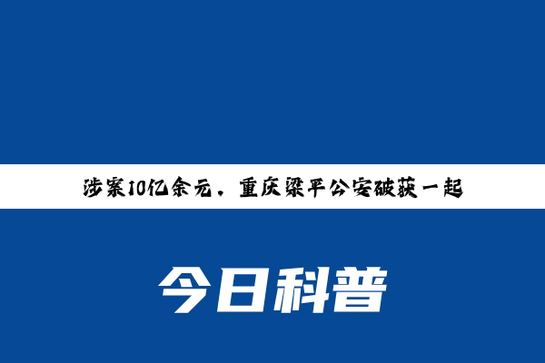 涉案10亿余元，重庆梁平公安破获一起非法经营案