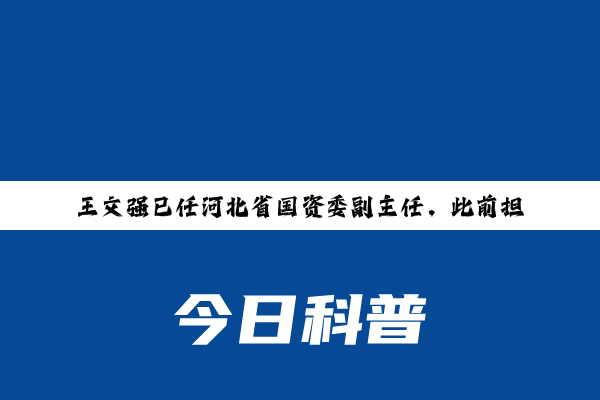 王文强已任河北省国资委副主任，此前担任辛集市市长