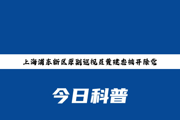 上海浦东新区原副巡视员黄建忠被开除党籍和取消退休待遇