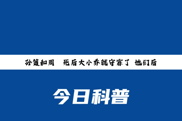 孙策和周瑜死后大小乔就守寡了 她们后面去了什么地方