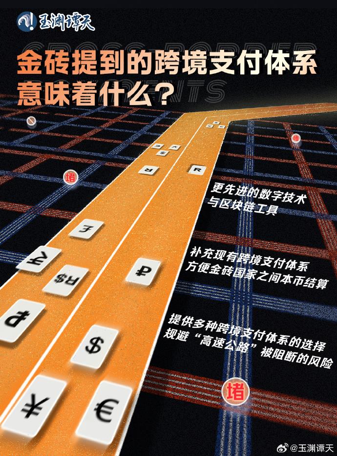 玉渊谭天丨金砖提到的跨境支付体系，意味着什么？