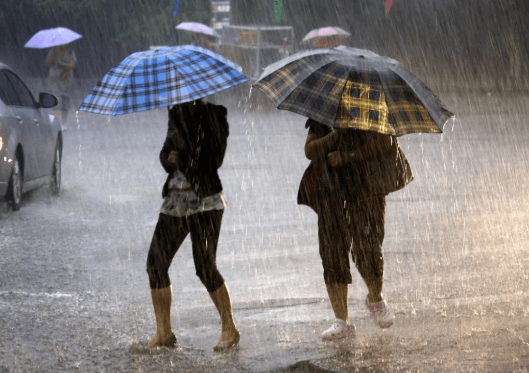 返程注意！上海雨势即将增强，今明天有大到暴雨