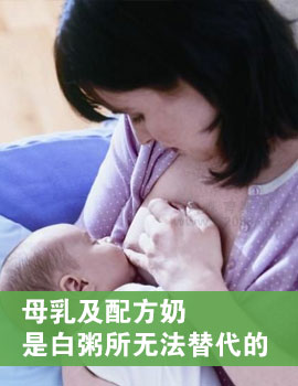 母乳及配方奶是白粥所无法替代的