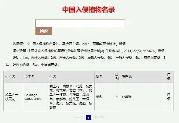 又见入侵物种加拿大一枝黄花：除不尽灭不绝的“霸王花”