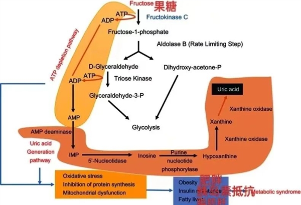 那些一个月不吃水果的人 最后都怎样了